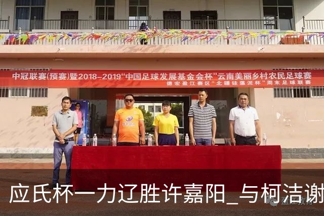 应氏杯一力辽胜许嘉阳 与柯洁谢科许皓鋐进4强
